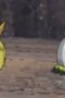 zKq0O0L0PjfkIKONyjmX2EmVWrB